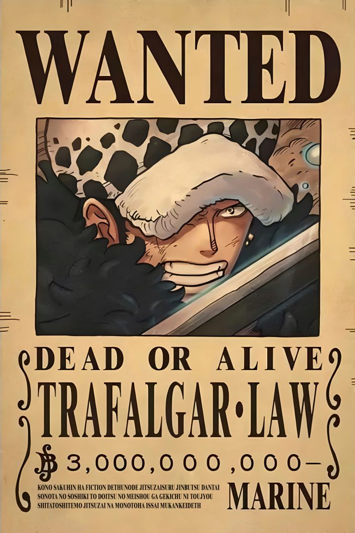 Trafalgar D. Water Law – Wanted Poster